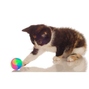 Glow-in-the-dark LED Pet Ball Toy