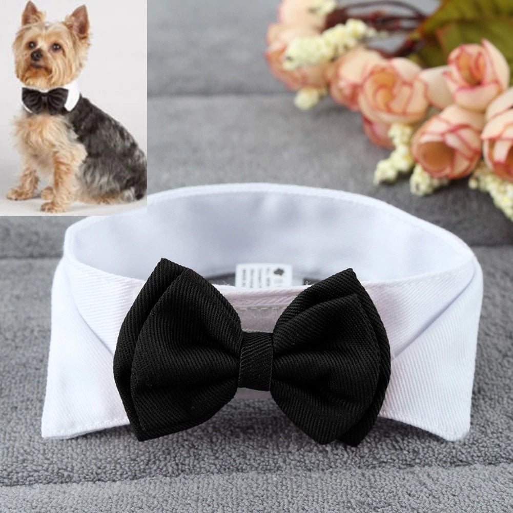 Adjustable Bow Tie Dog Collar