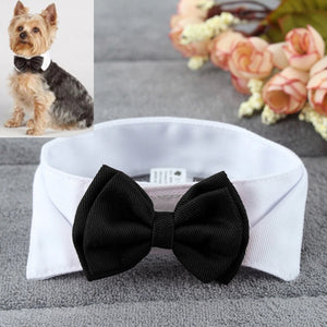Adjustable Bow Tie Dog Collar