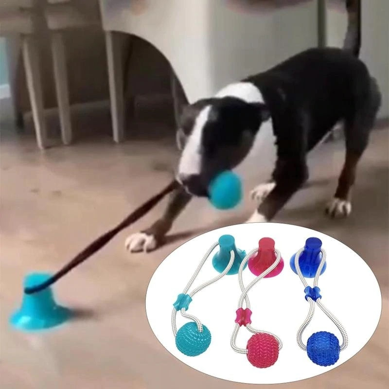 Chew Toy with Suction Cup