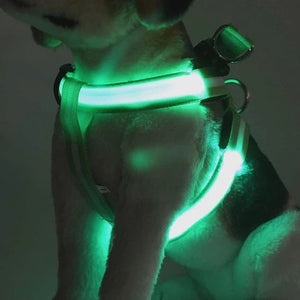 Rechargeable Nylon LED Glow-in-the-Dark Pet Harness