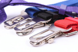 Pet Car Seat Belt